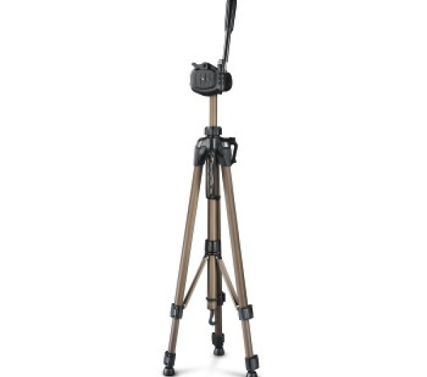 4162-4.jpg